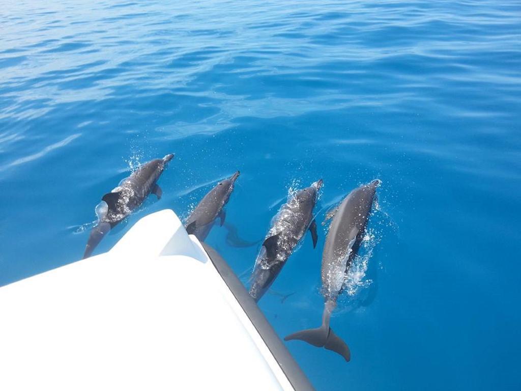 Thulhaadhoo Alvi Star Inn מראה חיצוני תמונה
