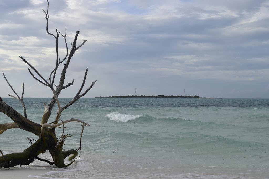 Thulhaadhoo Alvi Star Inn מראה חיצוני תמונה